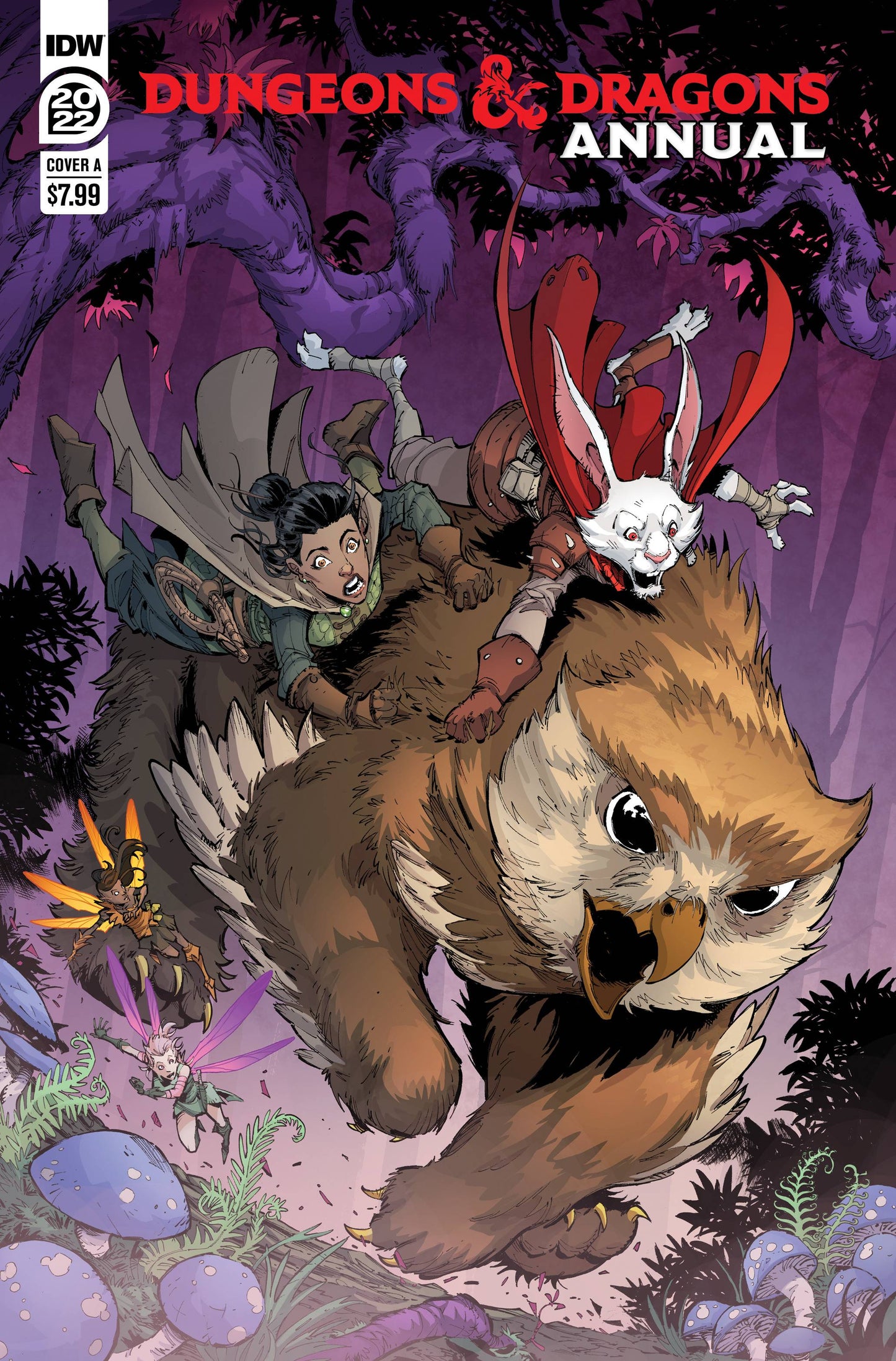 Dungeons & Dragons Annual 2022 1 (Pre-order 8/10/2022) - Heroes Cave
