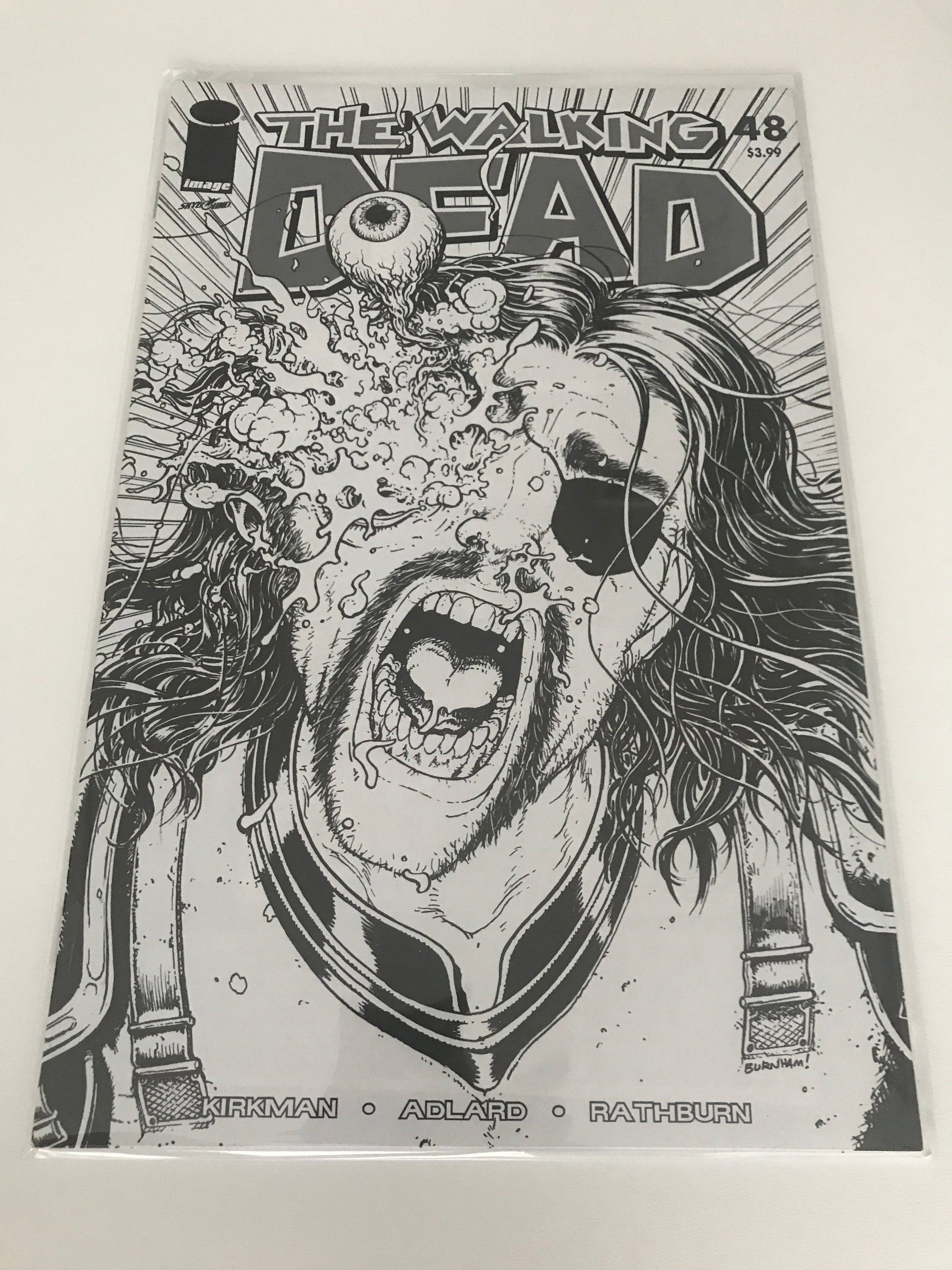 The Walking Dead 48 - 15 Year Anniversary Edition - Heroes Cave