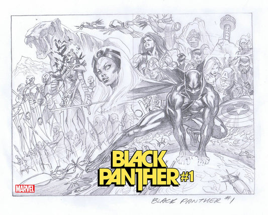 Black Panther 1 - 2nd Print (Pre-order 1/19/2022) - Heroes Cave