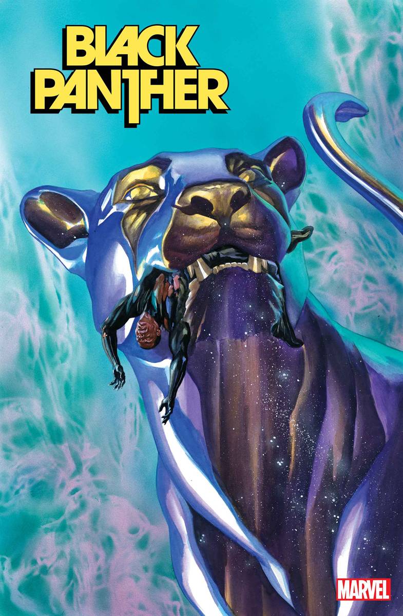 Black Panther 15 (Pre-order 3/8/2023) - Heroes Cave