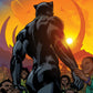 Black Panther 25 (Pre-order 5/12/21) - Heroes Cave