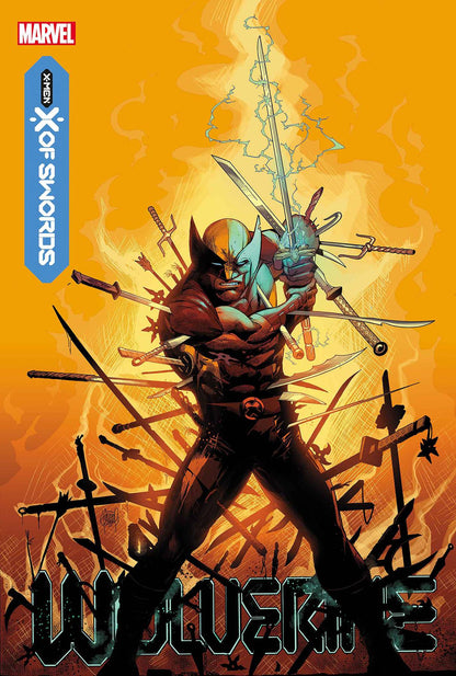 Wolverine 6 DX - Heroes Cave