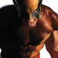 Wolverine 6 DX - Heroes Cave